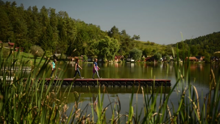 Arló-Suvadás Liget