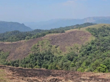 Kerala: Gavi vadrezervátum
