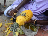 Kovalam beach: ananász árus