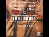 Winter Electronics Sensations Chapter 12-...