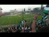 Ferencváros - DVTK, OTP Bank Liga (Fradi on...