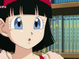 DBS 17