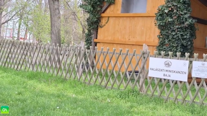 Bajai napom.