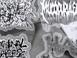 Kadaver Torso / Mucopurulence / Hemorrhoidal...