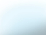 Bol 04