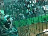 Ferencváros - Szombathely, Női Kézilabda K&H...