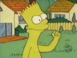 A Simpson család rövidfilm 3.évad 15.rész...