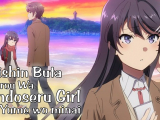 Seishun Buta Yarou wa Randoseru Girl no Yume...