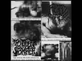 Roid Rage (TX) / Toddler Stomper - The...