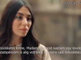 Tökéletes bérlő 5.rész
