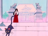 [TnT&AST] Bishoujo Senshi Sailor Moon - 010