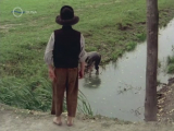 Indul a bakterház 1980
