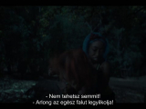 a szalmakalap sztorija (7)