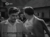 Keserű igazság - 1956