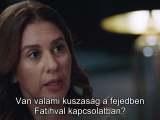 Áfonya serbet 77.rész
