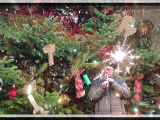 Zöldfenyő-Tannenbaum
