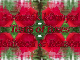 A rózsák könnyei - Tears of roses