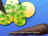 Csendeske 12
