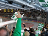 Vienna Capitals - Ferencváros, ICEHL (Fradi on...