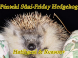 Pénteki Süni-Friday Hedgehog